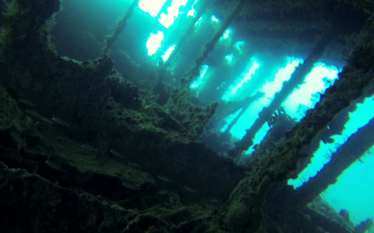 Navio Naufragado Em Abrolhos H Cem Anos Na Guerra Atrai