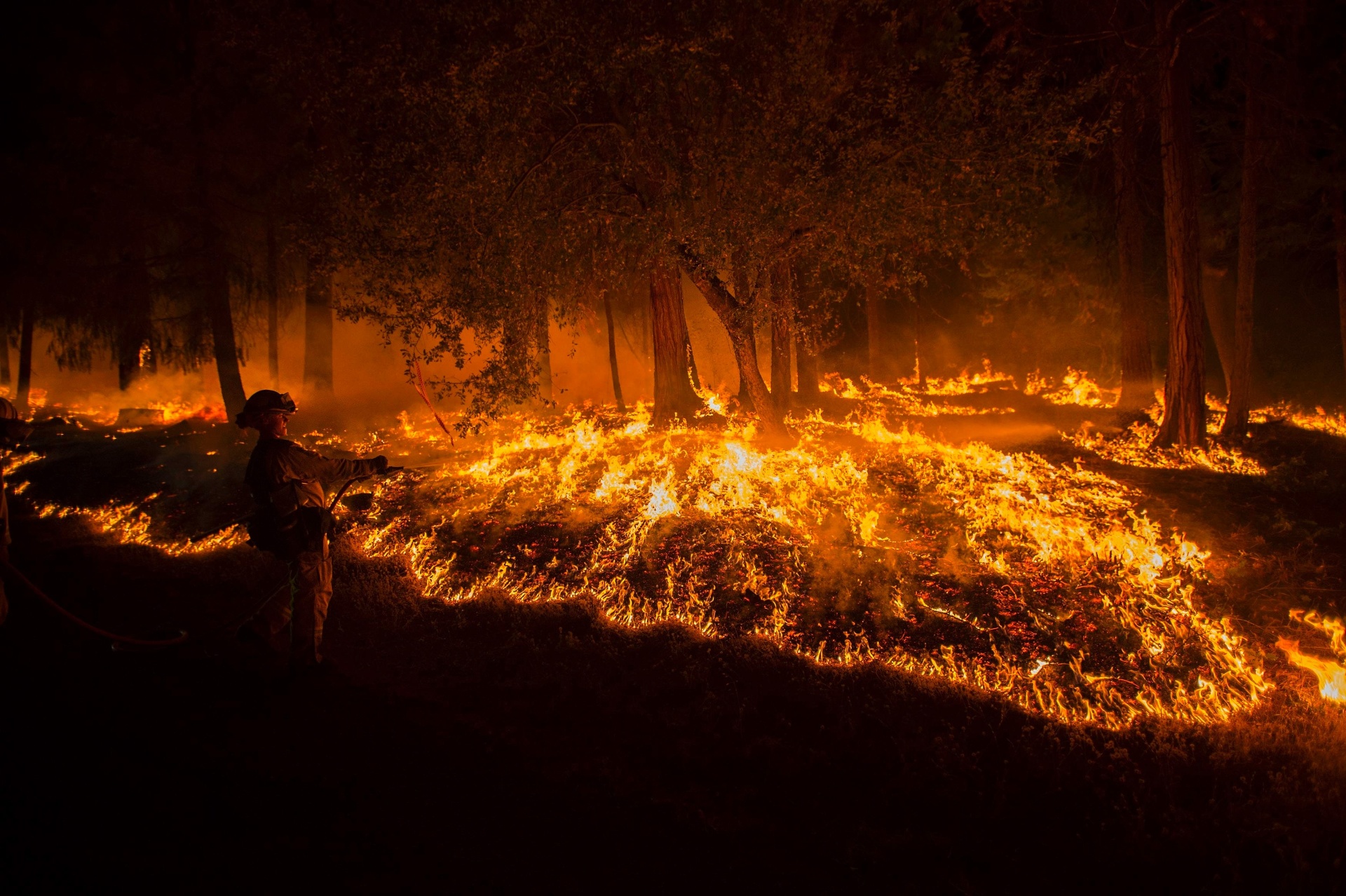 Fotos: Incêndios florestais na Califórnia em 2014 - 16/01/2014 - UOL