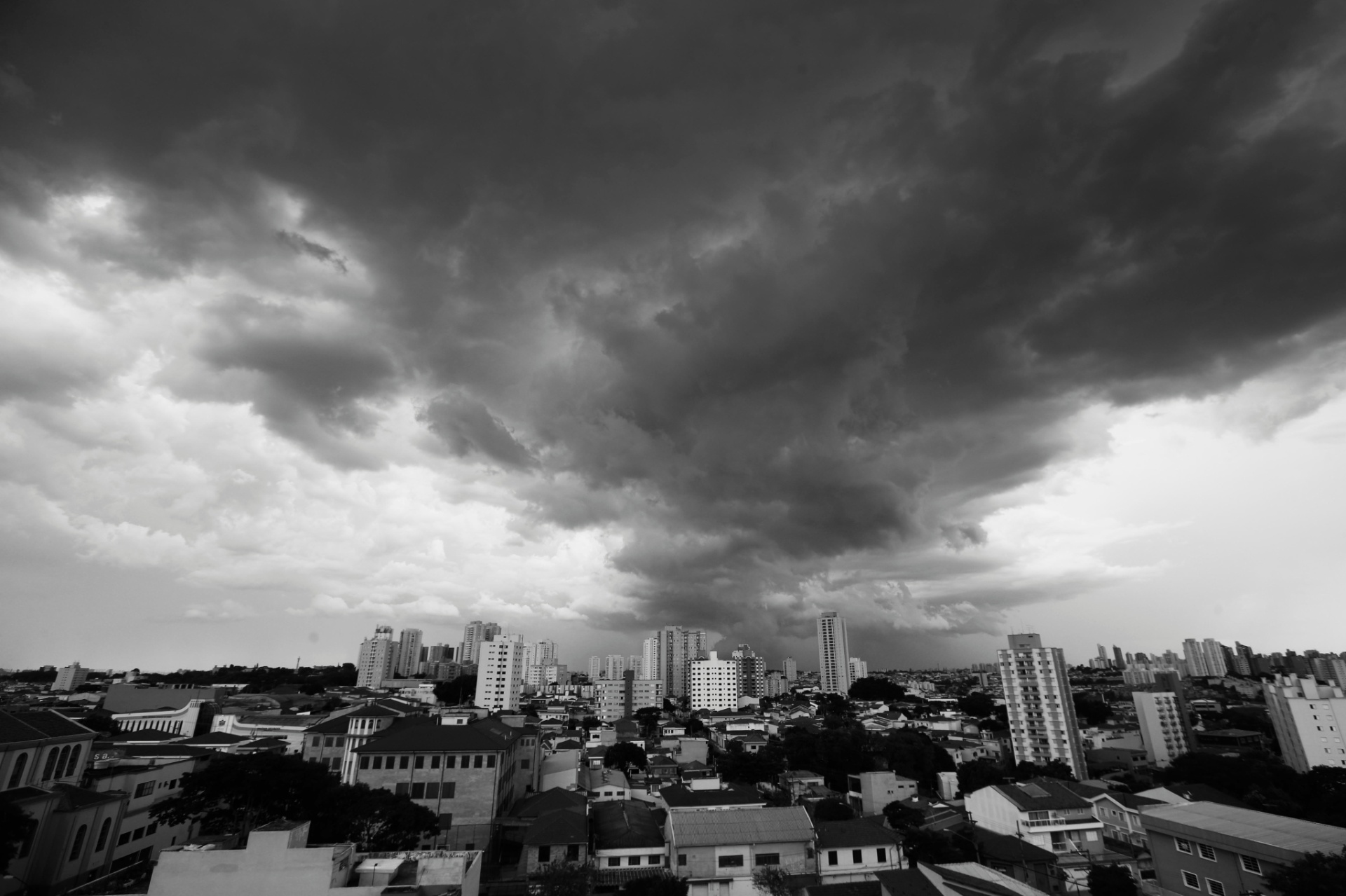 Chuva Em Sp Tem Ventos De Km H Derruba Rvores E Paralisa Linha De