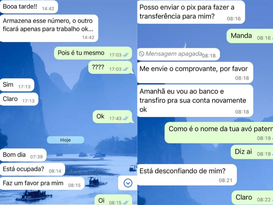 Mulher faz 'quiz' com bandido e escapa de golpe do PIX pelo WhatsApp, Piauí