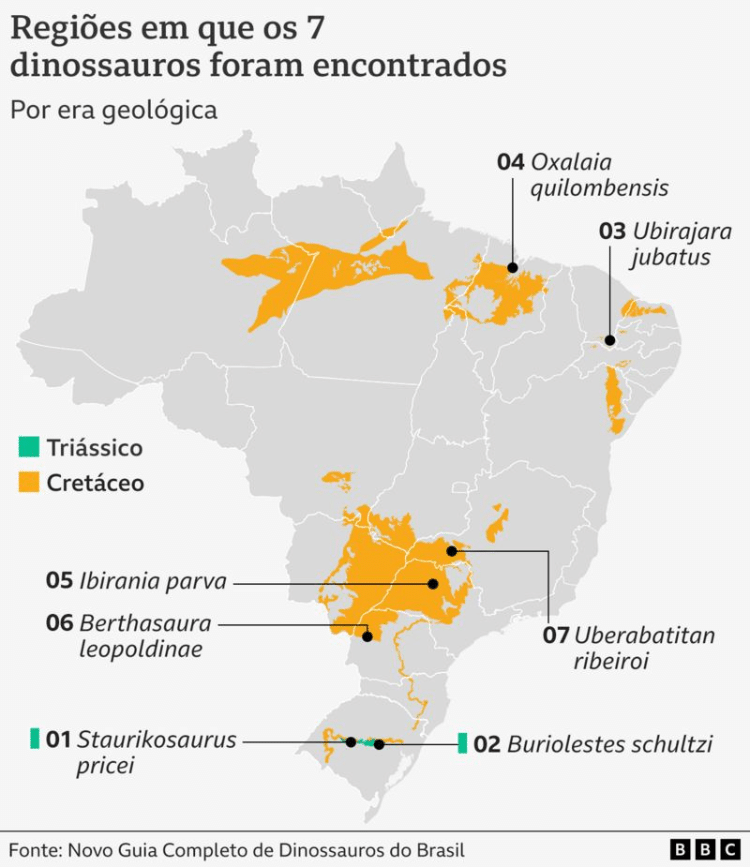 Fascinantes Hist Rias De Dinossauros Encontrados No Brasil