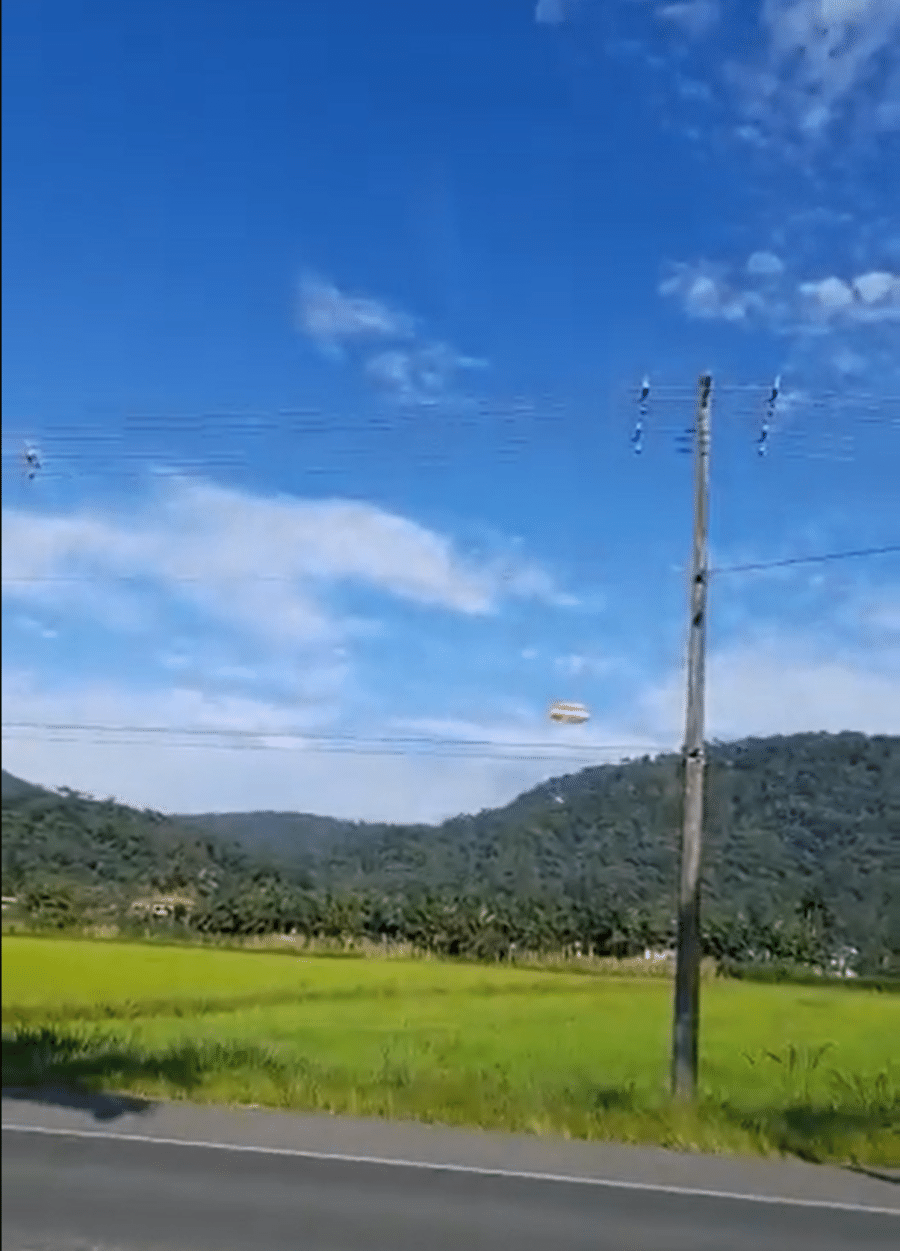 VÍDEO: Piloto aciona paraquedas de avião e faz pouso de emergência