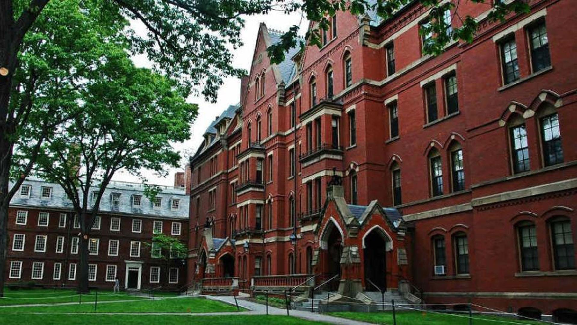 Harvard está oferecendo cursos online gratuitamente - TecMundo