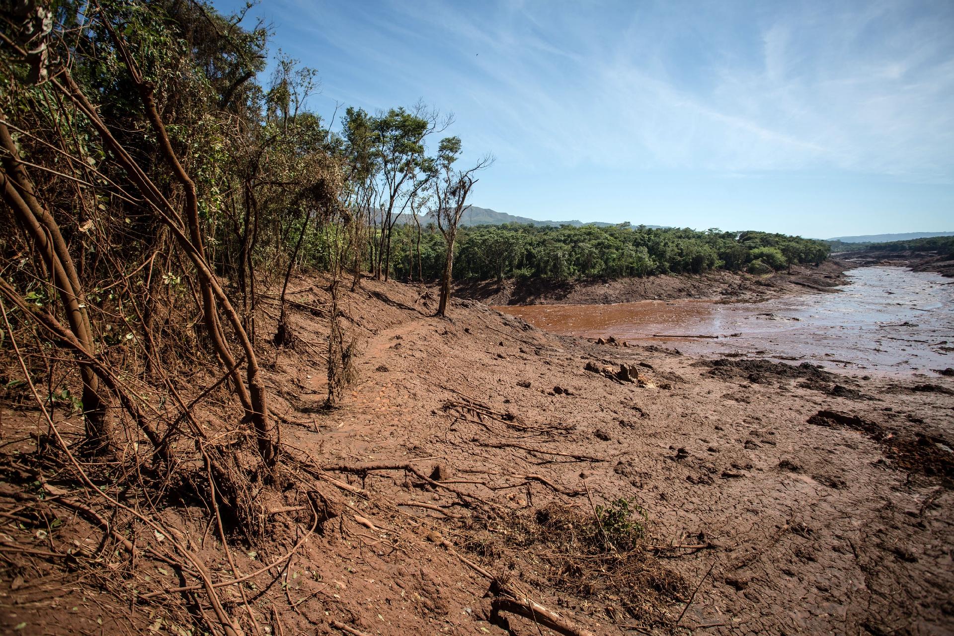 As doenças que podem contaminar os habitantes de Brumadinho - 09/02/2019 -  UOL VivaBem