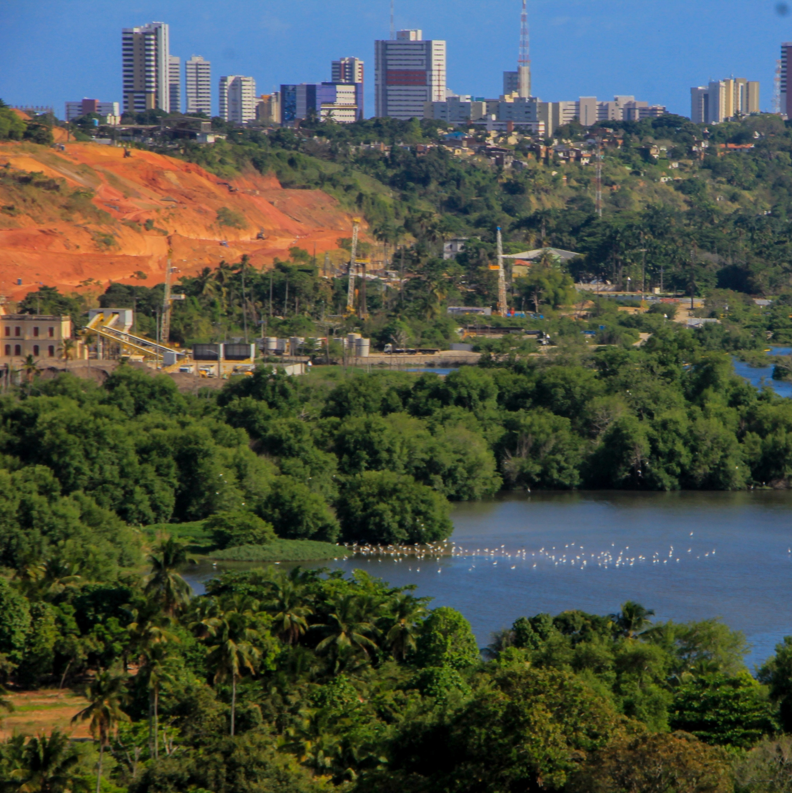 Capital Futebol Clube - 01/12/2023 