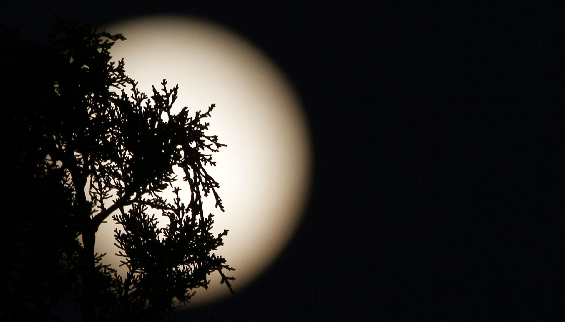 Fotos Natal Tem 1ª Lua Cheia Desde 1977 Veja Fotos Pelo Mundo 24 12 2015 Uol Notícias