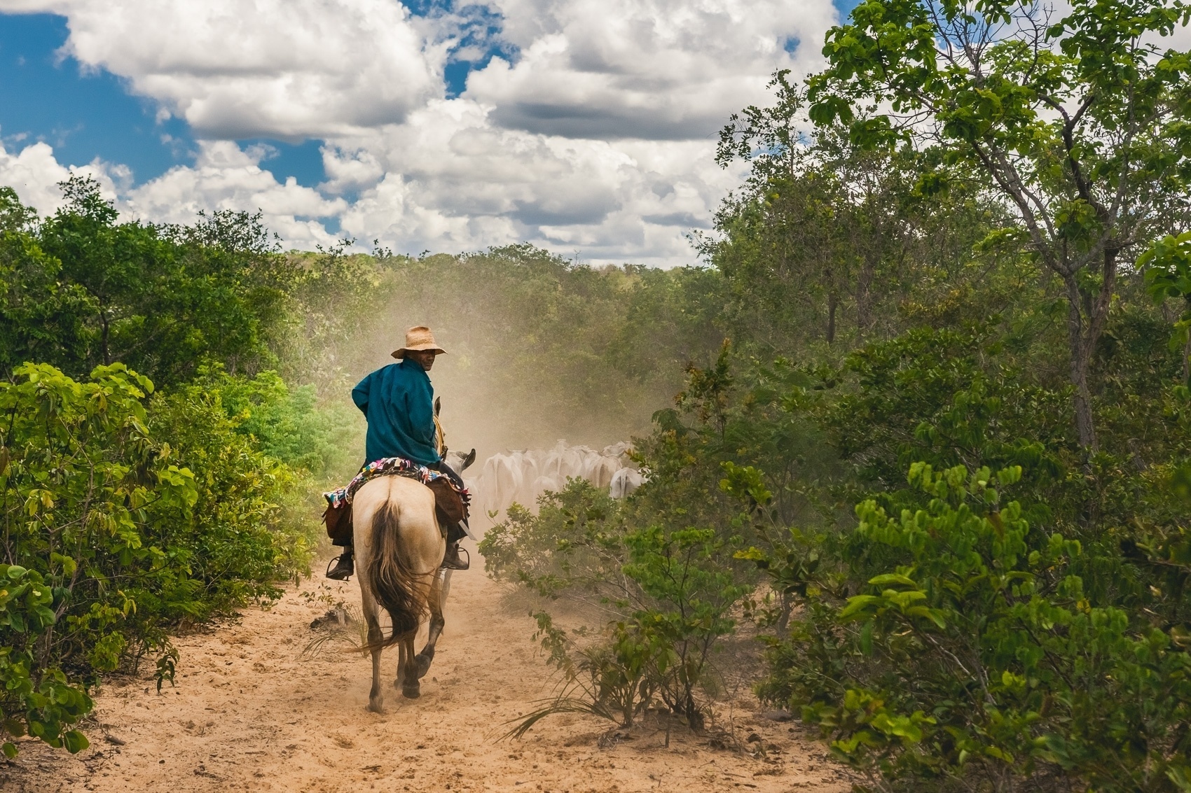 Comunidades Do Cerrado Na Bahia Veem Rios Secarem E São Ameaçadas De