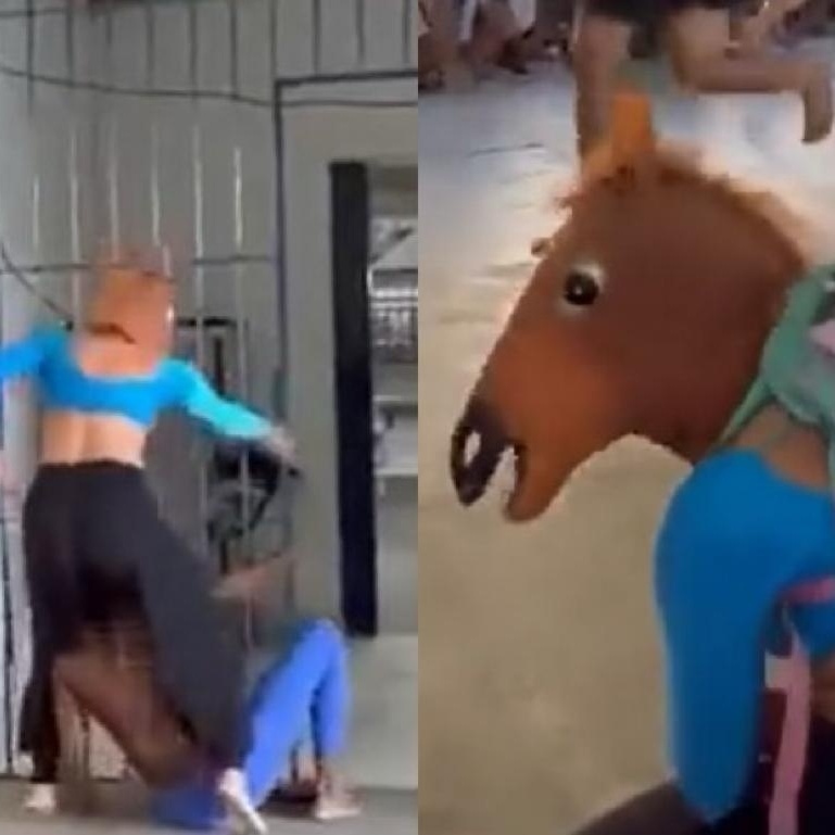 Vídeo engraçado - corrida de cavalo - kkkkk 