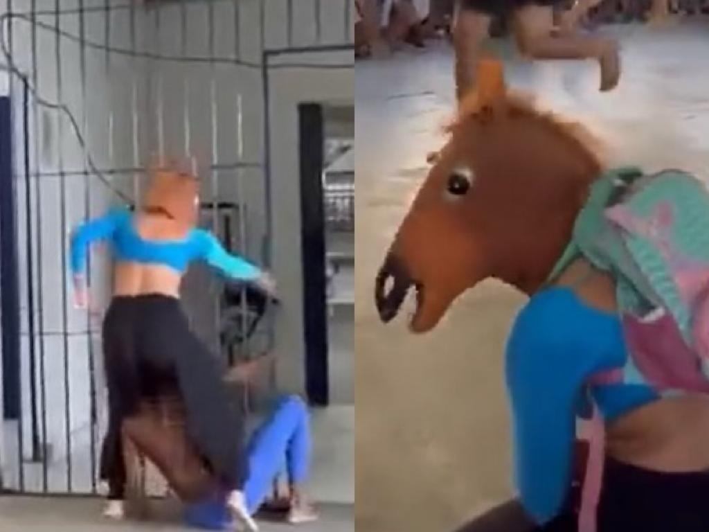 video de homem matando cavalo