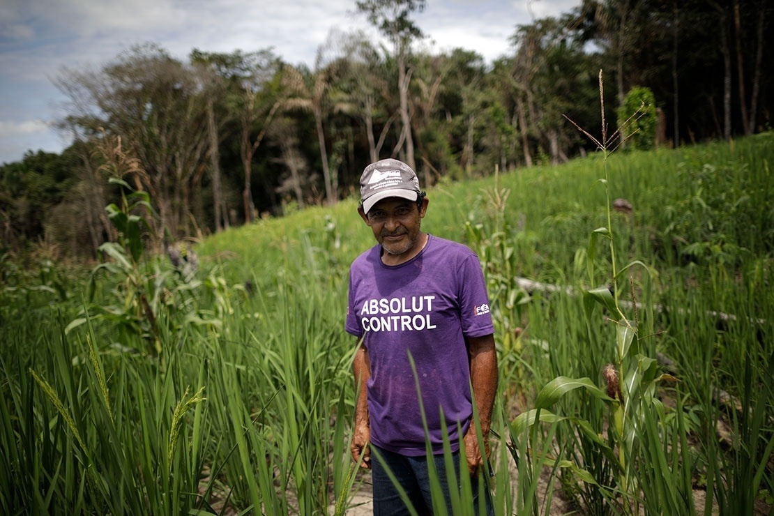 Amazônia Perdeu 20 Desde 1970 E Cerrado 50 Aponta Relatório 30102018 Uol Notícias 