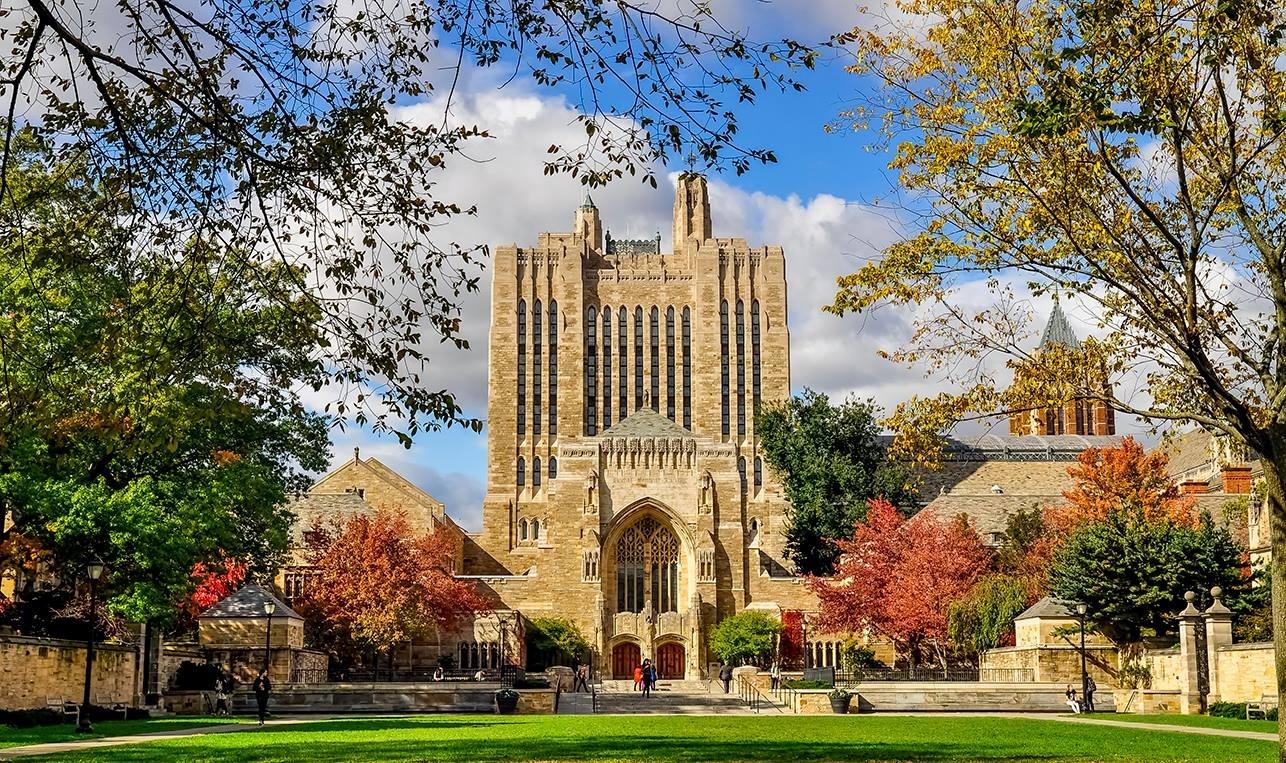 5 curiosidades que você precisa saber sobre a universidade de Yale