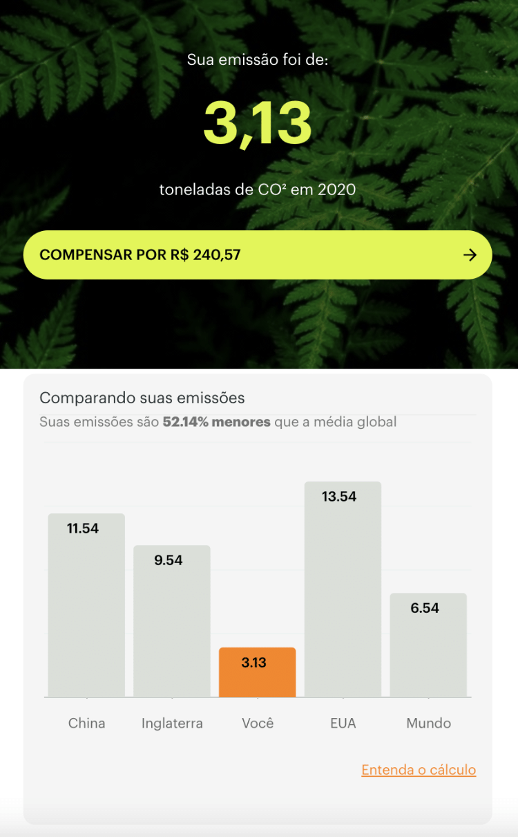 Como Calcular Sua Pegada De Carbono