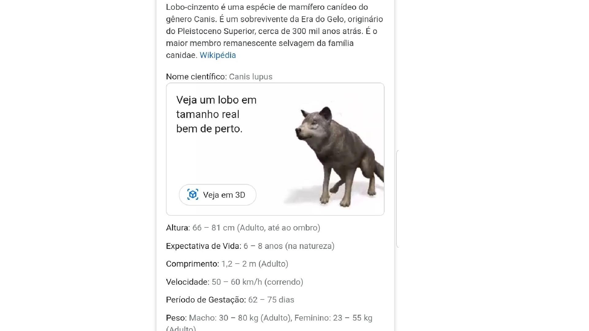 Saiba como ver diversos animais em 3D no Google pelo celular