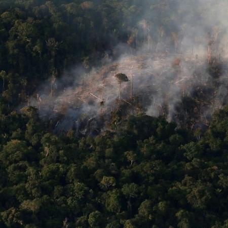 Terras indígenas são as que menos perderam florestas na Amazônia