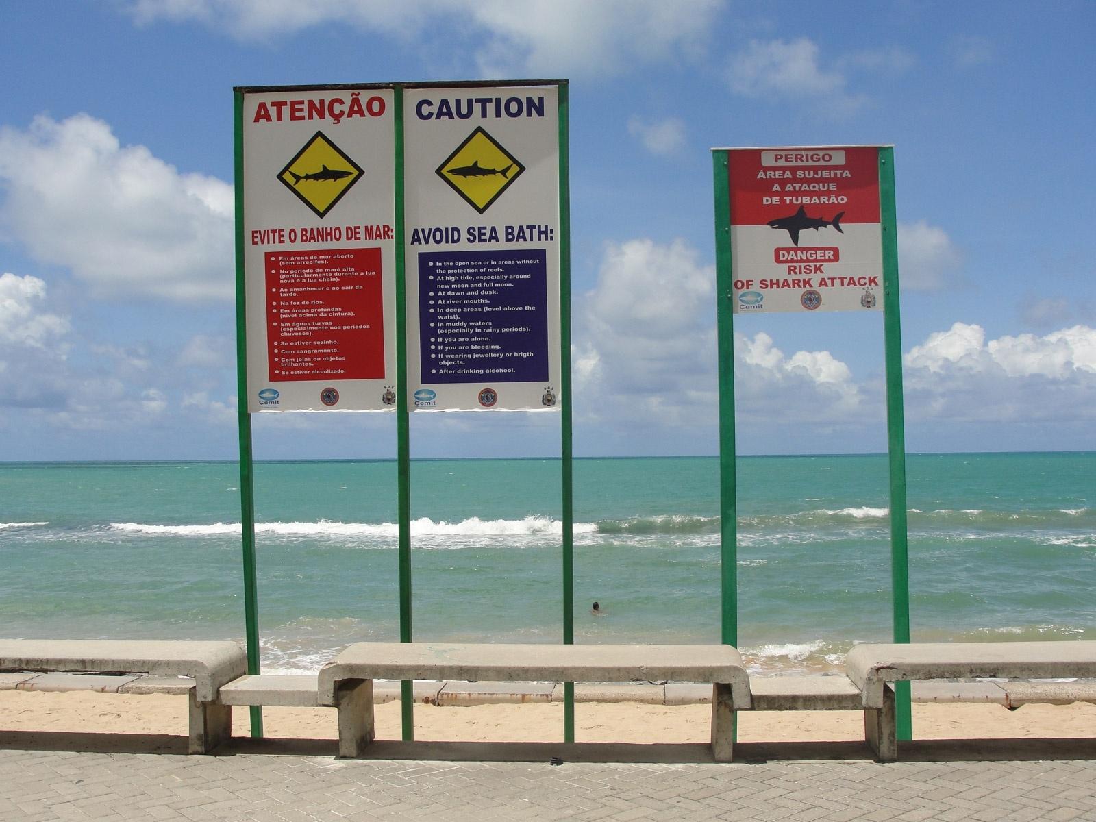 Sem perceber, banhista nada ao lado de tubarão em praia de Fortaleza, Ceará