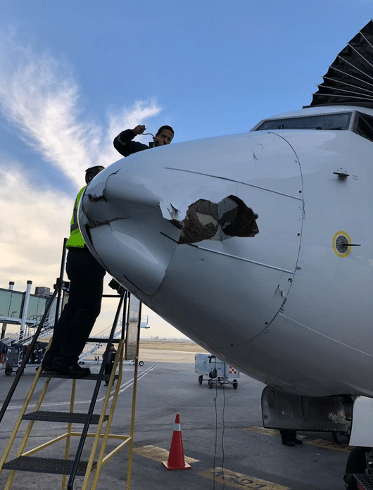 aeromexico bolsagage fees