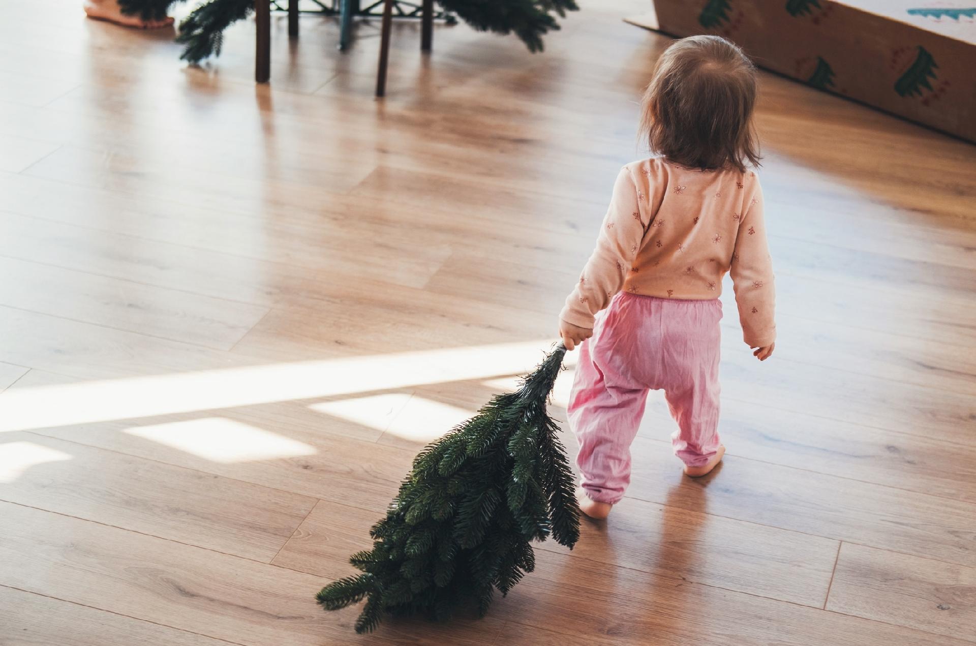Hoje é o dia certo de desmontar a árvore de Natal