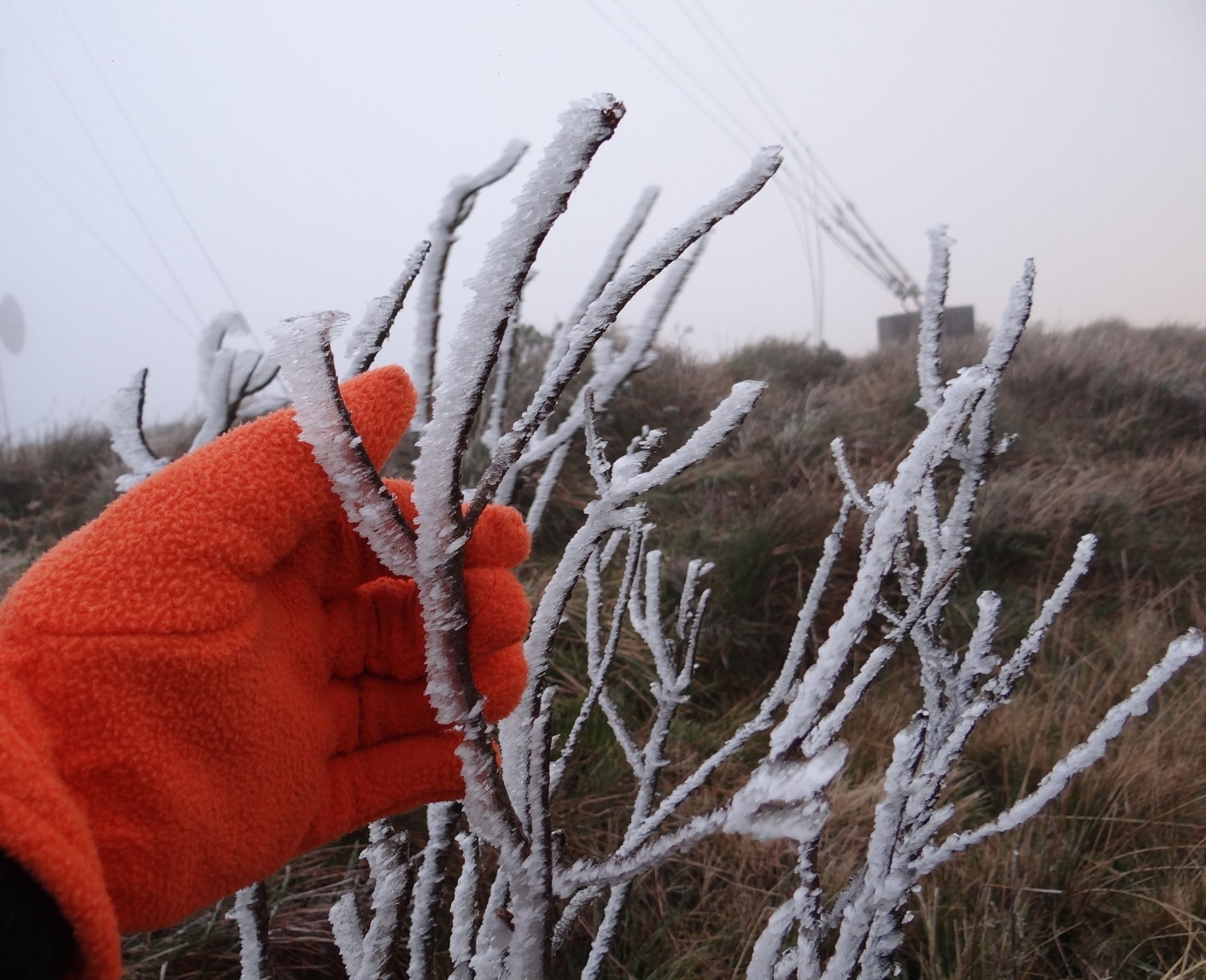 Eles Não Sentem Frio! Entenda Por Que Algumas Pessoas Não Sofrem No ...