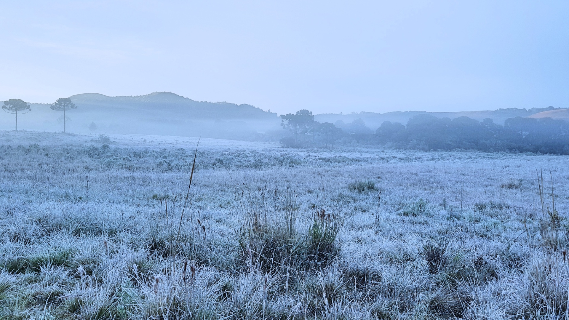 A duas semanas do inverno Sul já tem temperatura negativa e geada 08