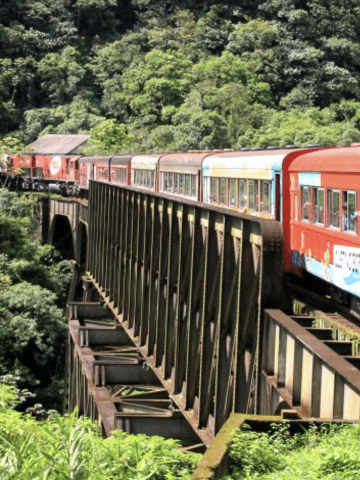 Trem no Paraná: 40 minutos com vista para precipício, diz passageira