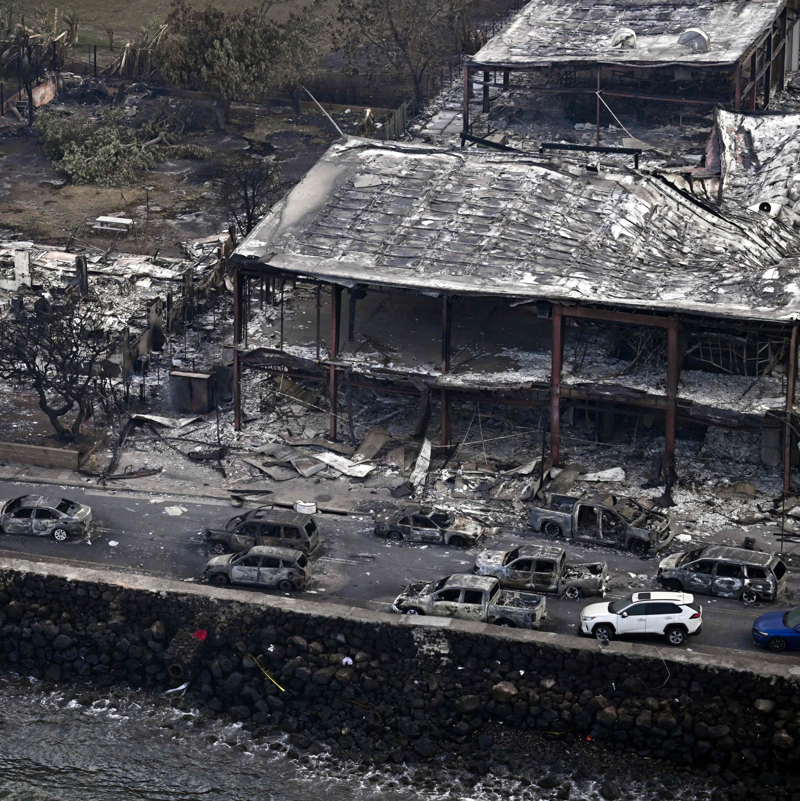 Condado de ilha devastada no Havaí processa empresa pelo incêndio