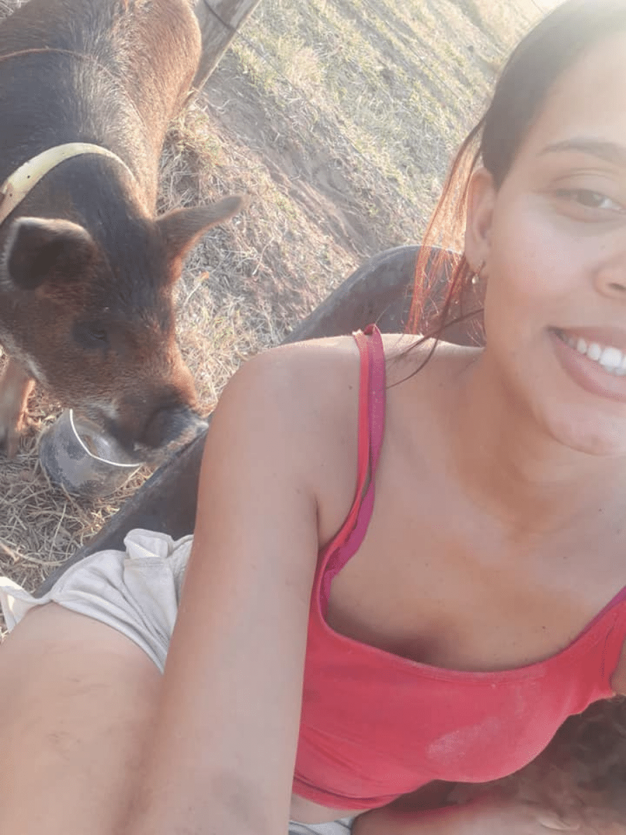 Família doa porco de estimação por ordem da Vigilância Sanitária foto