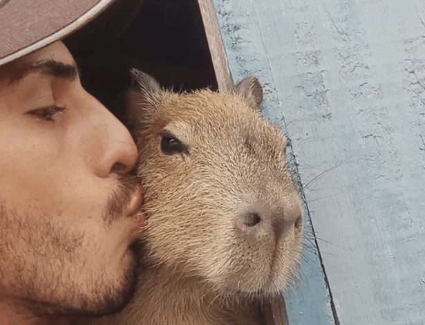 Influencer Agenor Tupinambá nega usar capivara Filó para ganhar dinheiro