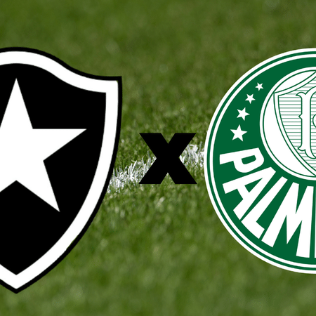 O Palmeiras sempre quis o campeonato que o Botafogo jogou fora - NSC Total