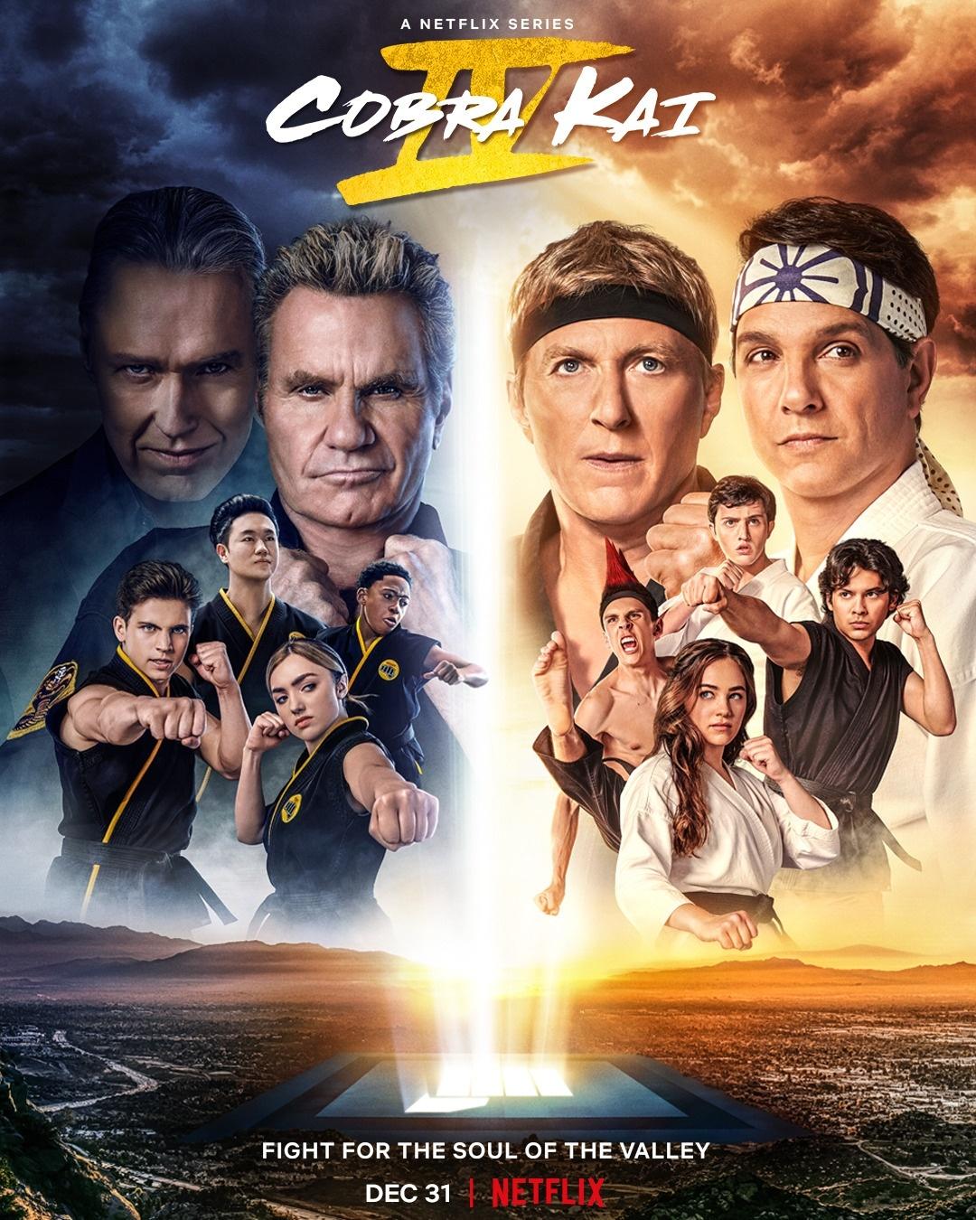 Cobra Kai: Conheça o jogo da série da Netflix