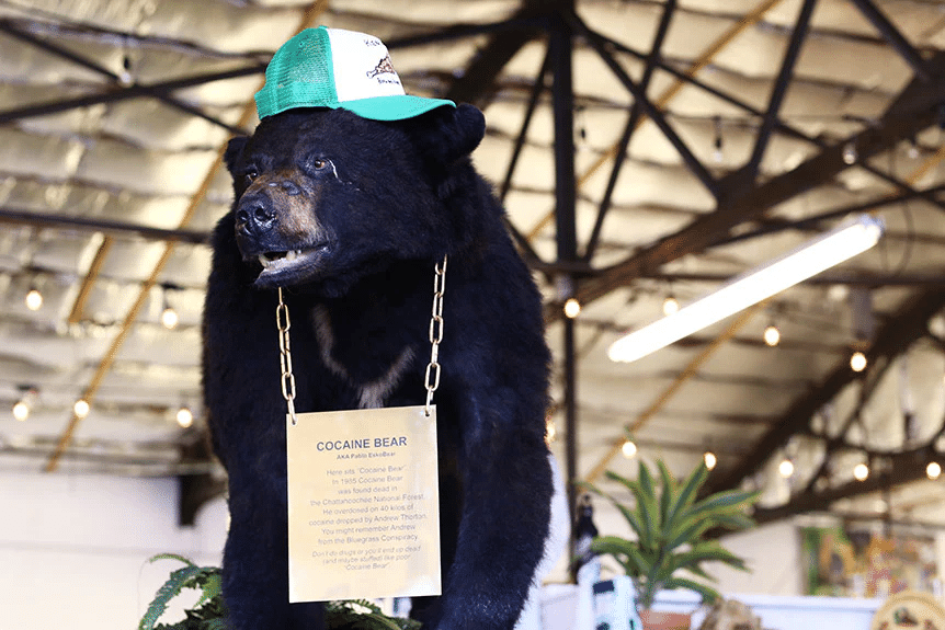 E o filme Cocaine Bear que no Brasil virou O Urso do Pó Branco