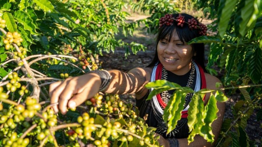 Celesty Suruí, barista e cafeicultora indígena, moradora da Terra Indígena Sete de Setembro, área recuperada pelos indígenas