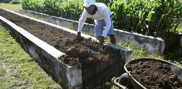 Em crise, Cuba autoriza comercialização privada de produção agrícola