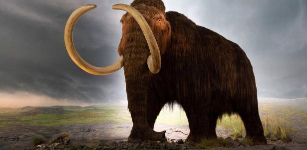 The company wants to bring back to life mammoths that have been extinct for 4,000 years