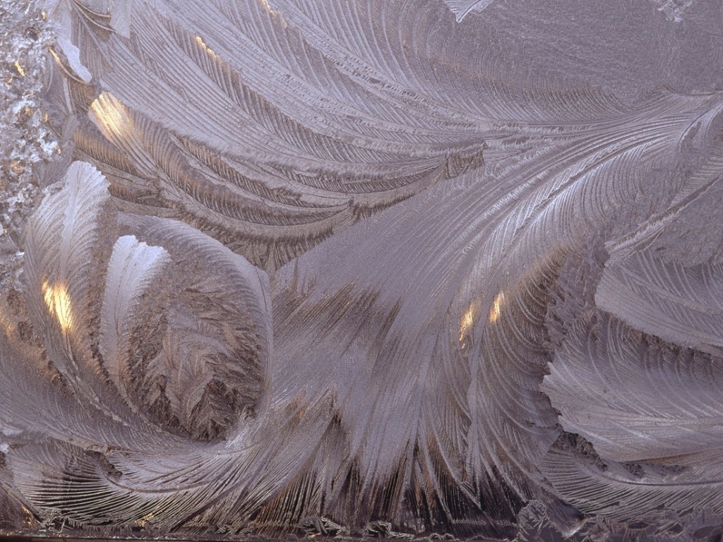Em uma noite fria de fevereiro na província canadense de Terra Nova, este padrão se formou em uma janela na casa de Helen Jones. "Esta imagem em formato de pena apareceu quando o sol começou a nascer e brilhar através do gelo", disse ela. "Eu precisei tirar esta foto imediatamente, porque não ia demorar muito até o gelo começar a derreter" - Helen Jones