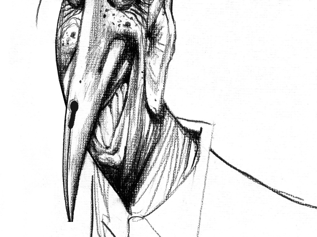 Para homenagear Millôr, Fernandes também desenhou uma caricatura - Fernandes/UOL