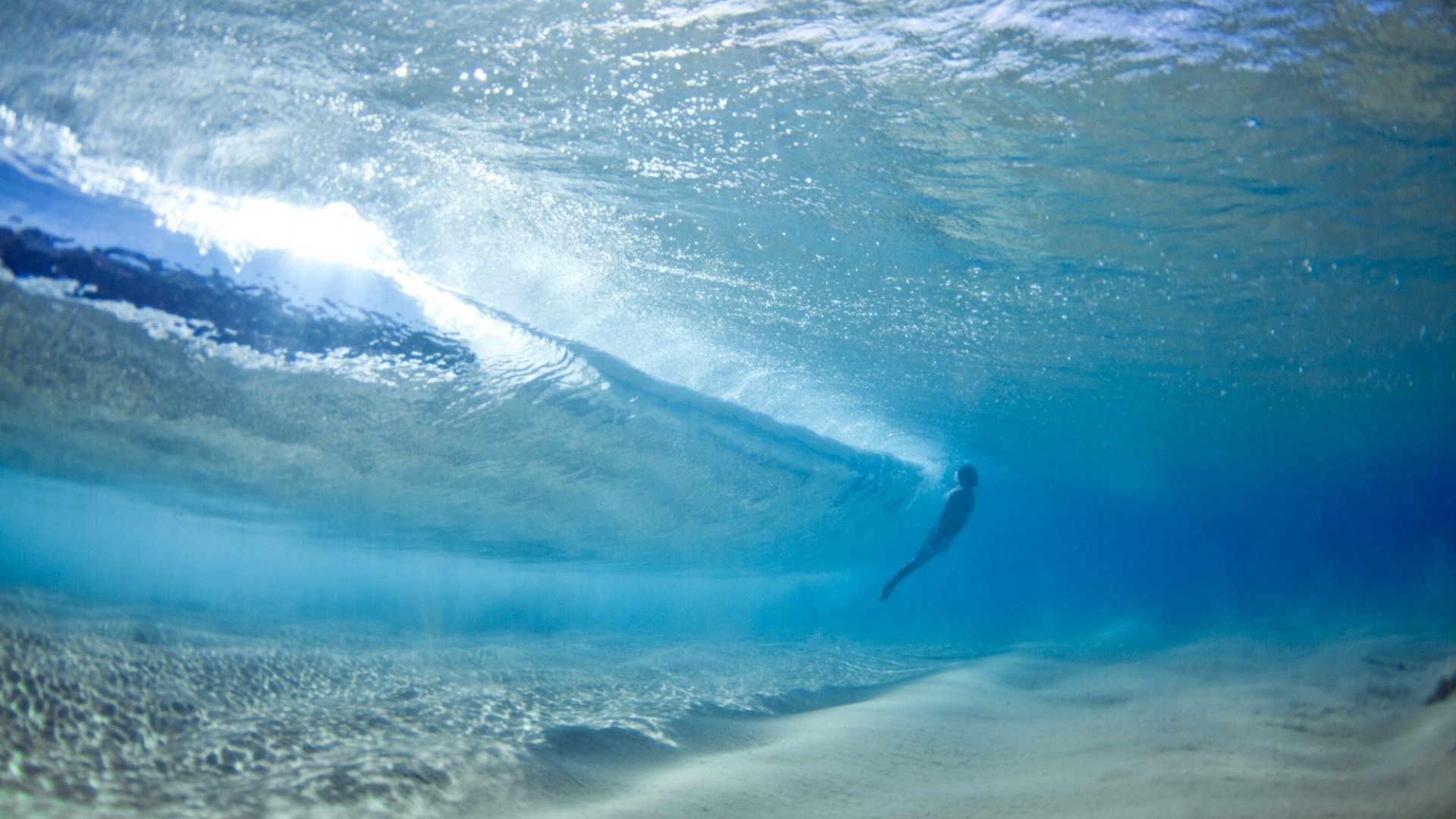 O fotógrafo Mark Tipple tenta aliar suas duas paixões, ao vincular seu trabalho a ONGs que promovem a conservação da vida marinha - Mark Tipple 