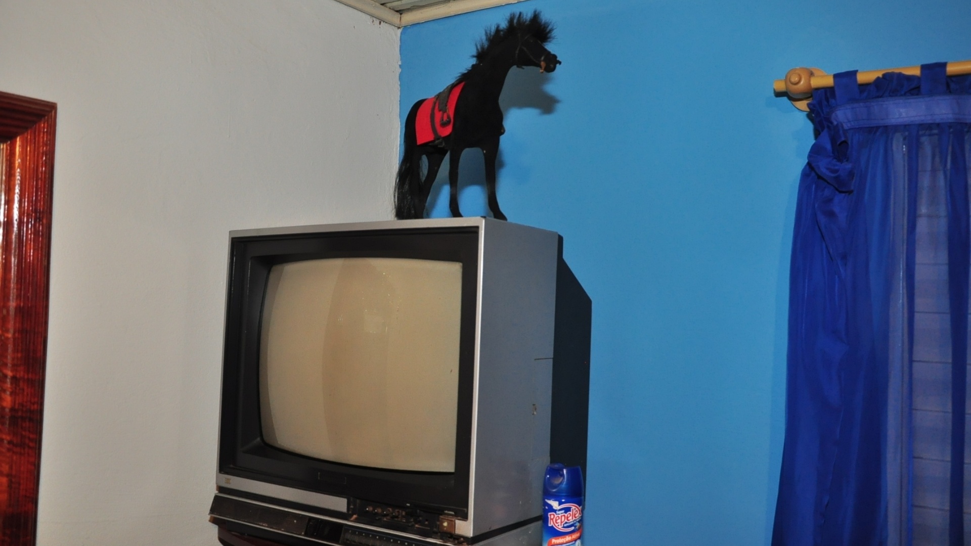 Uma TV e, acima, uma estátua de um cavalo no quarto de Fael em Aral Moreira (1/4/2012)