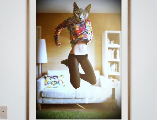 O gato do vídeo "Keyboard Cat" virou "CatWoman" nas fotos de estúdio francês - Reprodução/HelloImWild