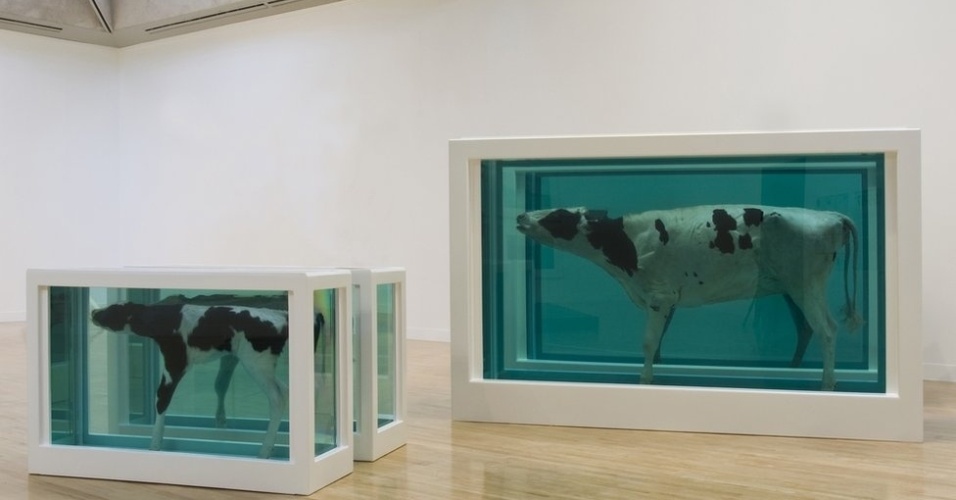 A obra "Mãe e Filho Divididos" mostra uma vaca e um bezerro preservados em formol e sua versão original é de 1993. Os animais foram cortados em metades e os tanques, onde estão as partes, foram instalados com espaços para os visitantes passarem no meio  - Divulgação/BBC
