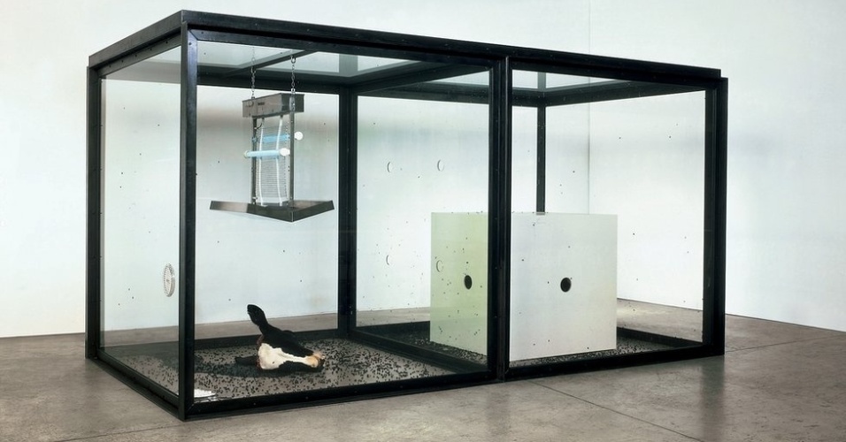 A polêmica marca a obra de Damien Hirst desde o início de sua carreira no final dos anos 80. Acima, "A Thousand Years" ("Mil Anos", em tradução livre) mostra um ciclo de vida completo: larvas se desenvolvem, viram moscas na caixa branca evão depois se alimentar da cabeça decepada da vaca - Divulgação/BBC