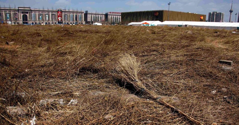 A região do estádio de beisebol dos Jogos de Pequim hoje está repleta de mato e totalmente abandonada