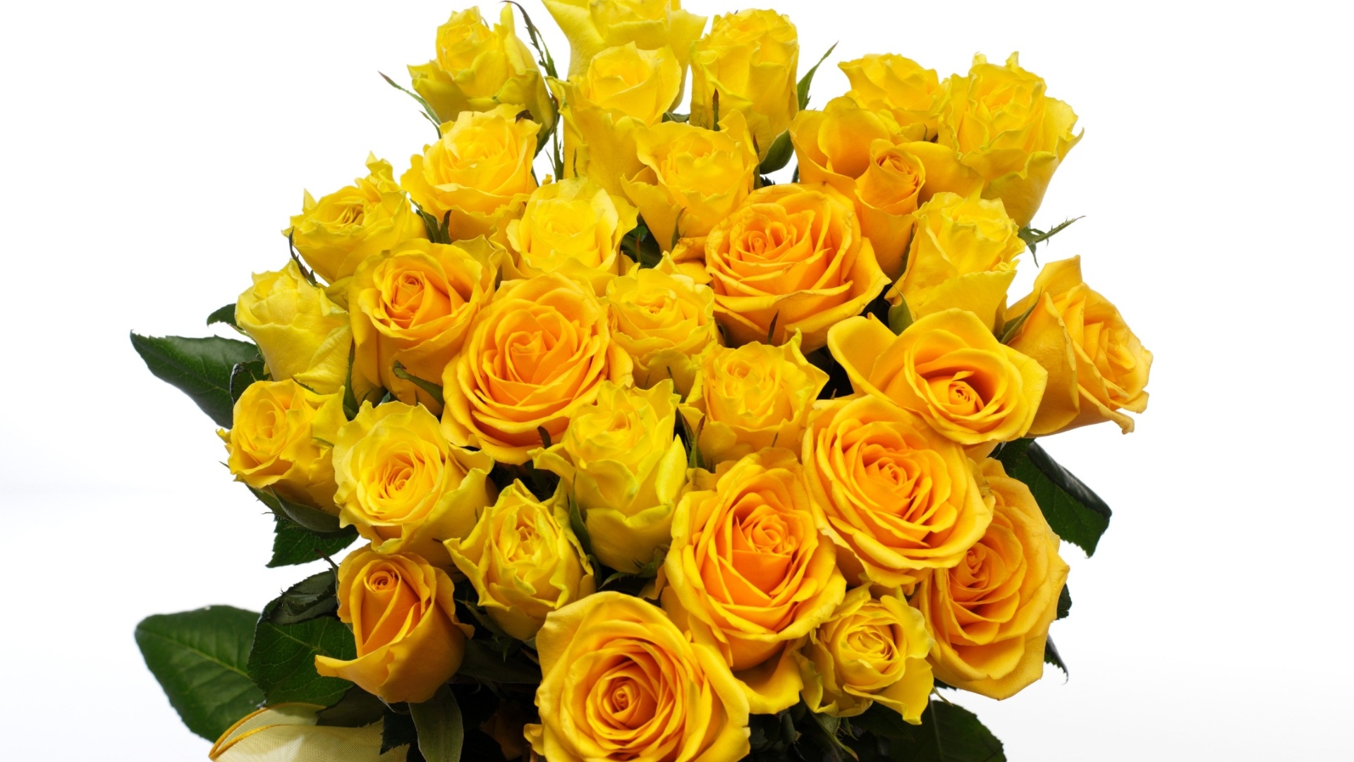 Buquê de rosas amarelas - Thinkstock