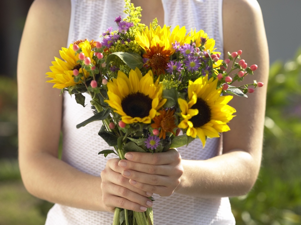 Girassol - Thinkstock