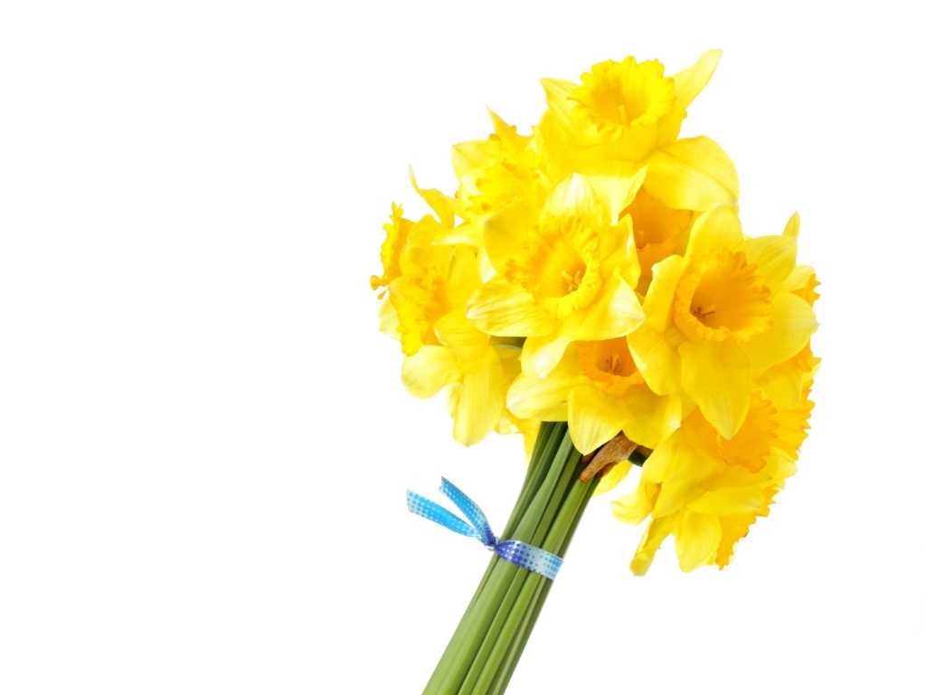 Narcisos - Thinkstock