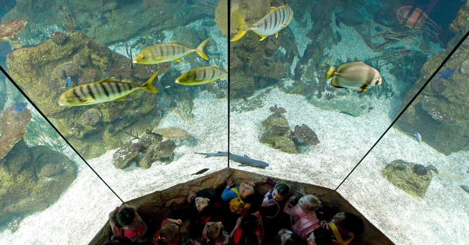 Crianças em um aquário de água salgada em 'Haus des Meeres' (Aqua Terra Zoo) em Viena