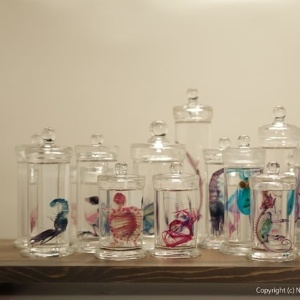 O artista japonês Iori Tomita utiliza um método científico para transformar animais conservados em laboratório em objetos de arte. Acima, parte de sua exposição no Aquário de Tóquio - Iori Tomita