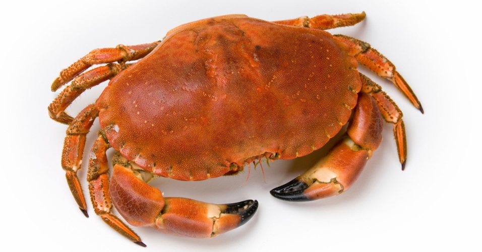 Suplemento Emagrecedor