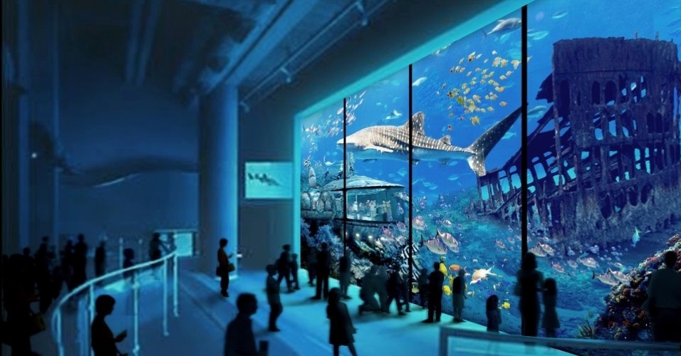 O projeto do "Acquário Ceará" prevê a construção de 38 salas para a exibição de animais marinhos. A inauguração está prevista para 2014 na praia de Iracema --antiga zona portuária e boêmia da capital cearense