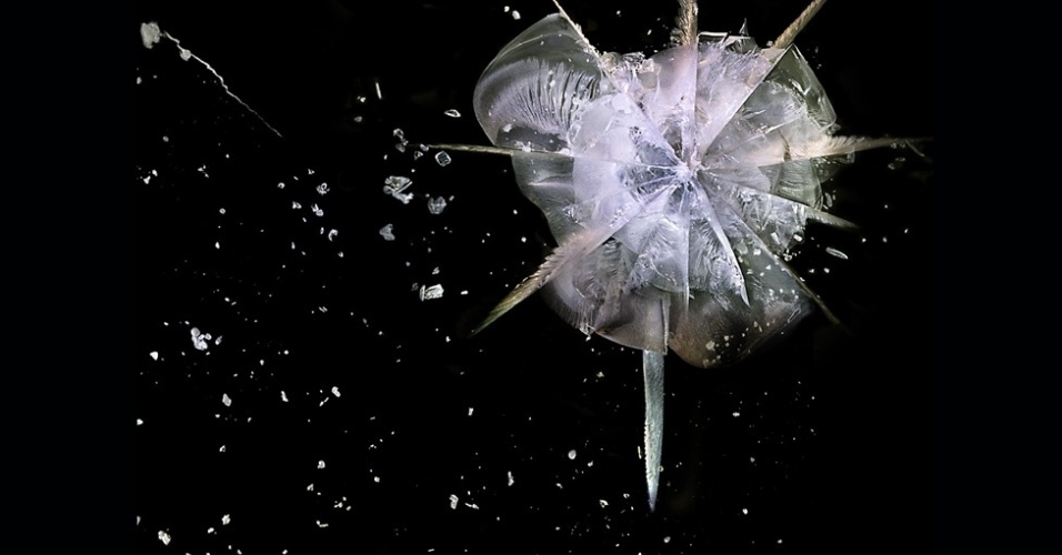 As imagens lembram explosões de galáxias e do que seria o início do universo, mas também lembram do poder destrutivo de uma arma de fogo. Acima, o disparo de calibre 45 - Deborah Bay/Divulgação