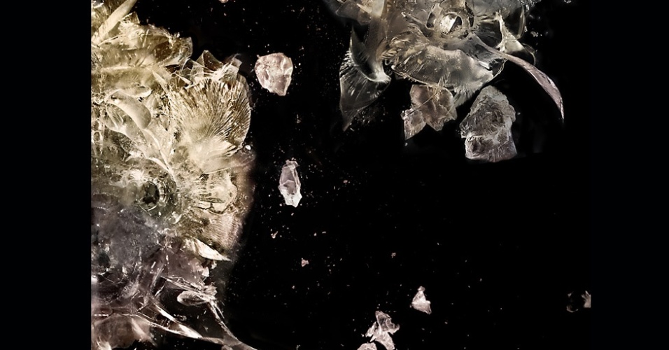 Bay afirma que seu interesse no projeto nasceu de como as armas são vistas como 'símbolos culturais' nos Estados Unidos. Acima, o disparo de uma espingarda calibre 12 - Deborah Bay/Divulgação